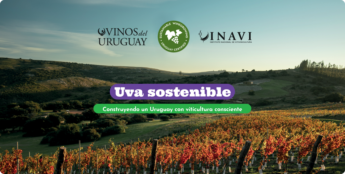 Uruguay, un viaje entre viñedos, mar y sabores