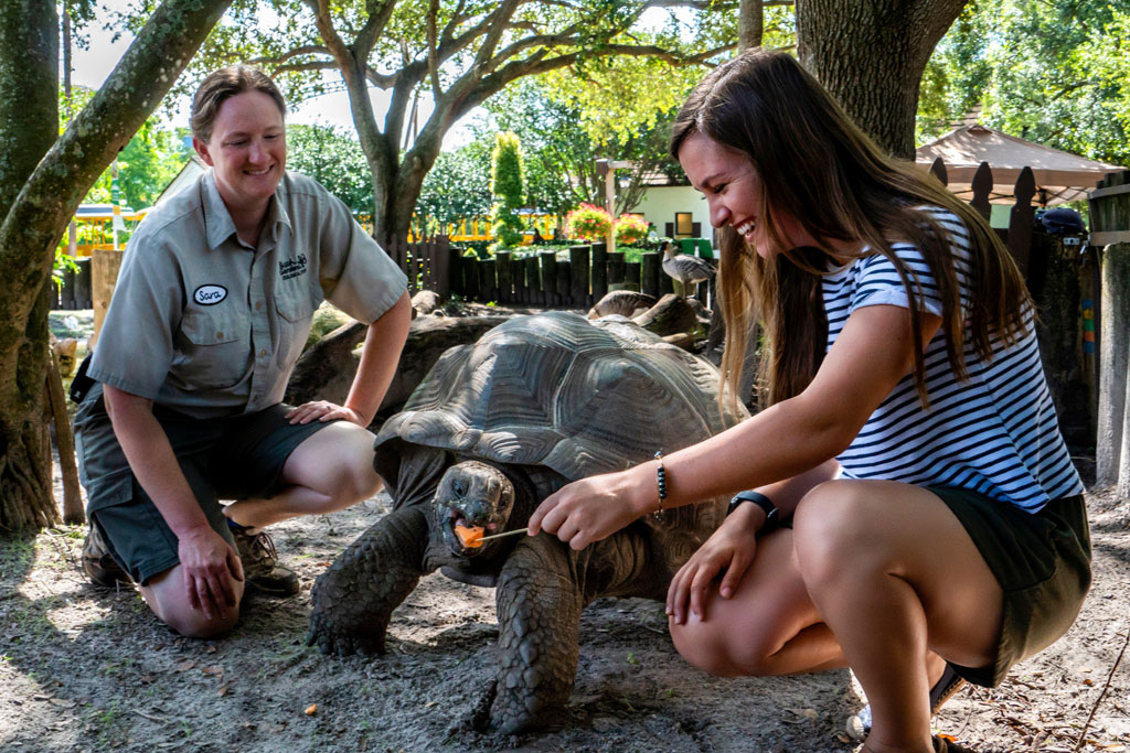 2018_BGT_Animal_InsiderTour