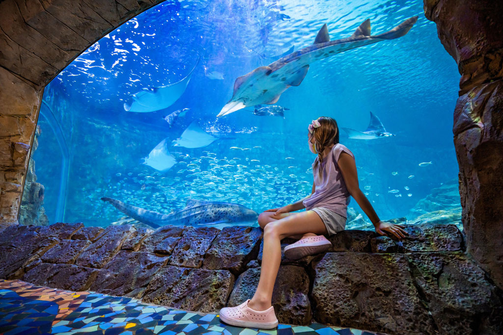 2021_SWO_Aquarium_Girl_Mask