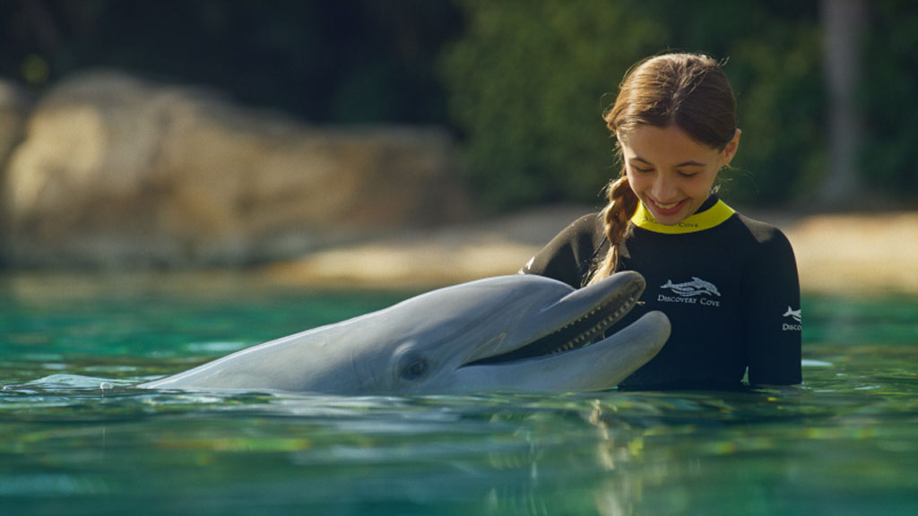 2022_DCO_Brand_Shoot_Screen