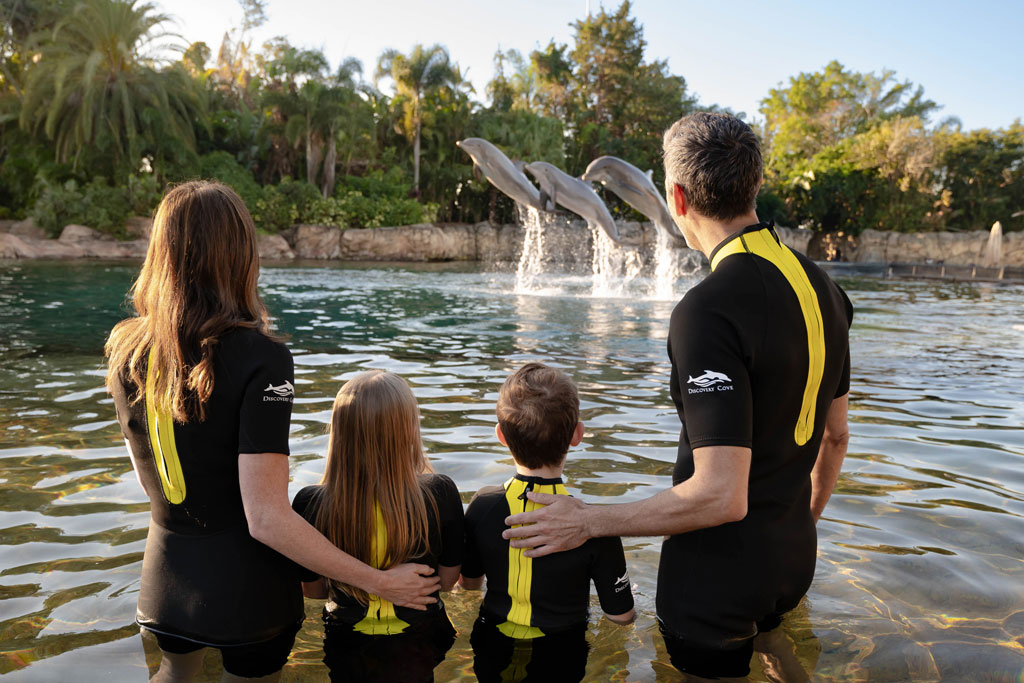 2025_DCO_Dolphin_RG6_4334