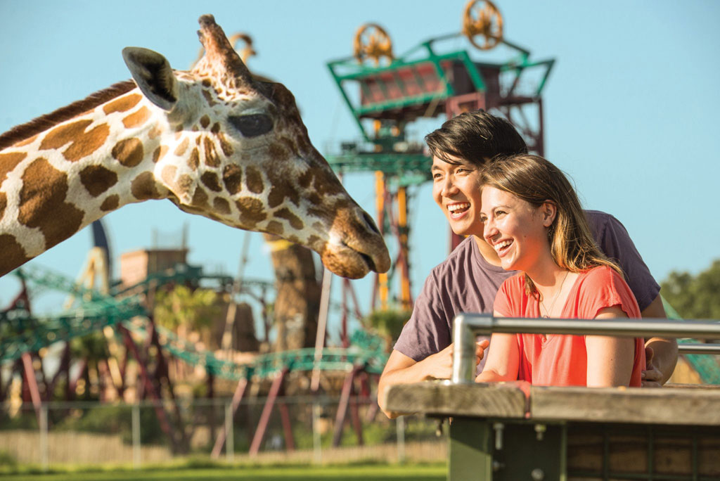 Diversión con propósito: el ADN de la propuesta de United Parks & Resorts