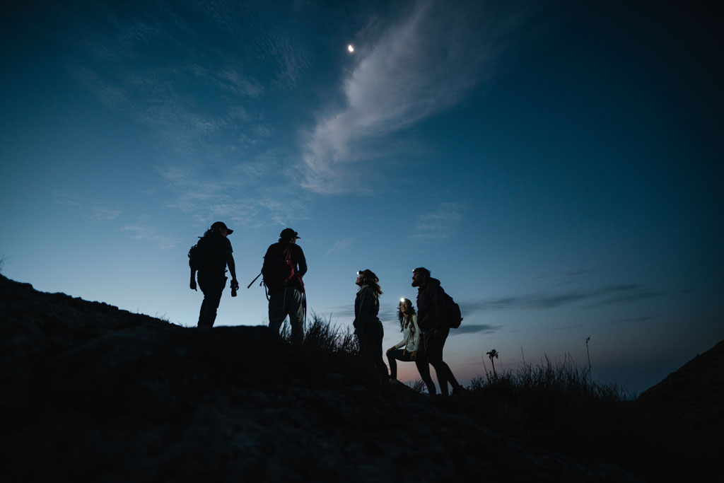 Nocturnismo en Panamá: experiencias para disfrutar de noche